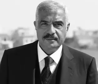 هشام طلعت مصطفى